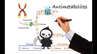 Pharmacology  CANCER DRUGS  ANTIMETABOLITES MADE EASY [upl. by Seugirdor702]