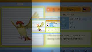 Meet Pidgey and Its Evolutions pokemon [upl. by Aiym]