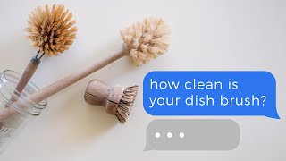 How To Clean and Disinfect a Dish Brush [upl. by Lleuqar]