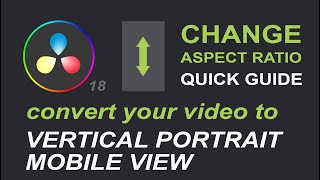 How To Change Resolution In Davinci Resolve 18 To Vertical 916 [upl. by Lanford]