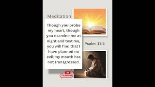 Psalm 173 encouragingverse biblepassage christianinspiration motivation bibleverse quotes [upl. by Eitac]