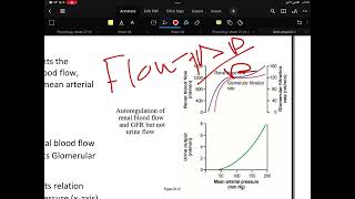 Renal physiology lecture 2 part 3 [upl. by Michal]