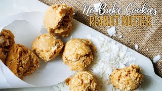 Low Carb Peanut Butter Cookies  No Bake [upl. by Delos]