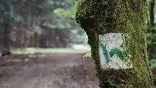 Wanderung auf dem Westerwaldsteig  Etappe 1 amp 2  Backpacking Deutschland  VLOG 66 [upl. by Enyamrahs]