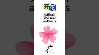 How to pronounce anthesis’ in Chinese I quot꽃이 피다‘ 를 중국어로 발음 [upl. by Atiruam]