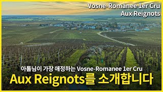 Engsub Vosne Romanee 1er Cru Aux Reignots [upl. by Eneleh]