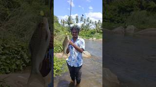 மீன் பிடிக்க மிகச் சிறந்த வழி Ultra light spinner lure fishing best fishing lures shorts fishing [upl. by Aihtnyc]