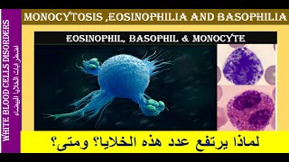 Lecture 24 Monocytosis Eosinophilia and Basophilia [upl. by Nnylanna]