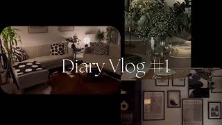 Diary Vlog 1  Welcome to my vlog 🤍 [upl. by Prussian]