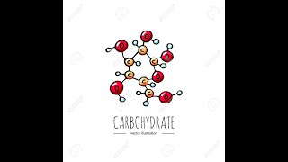 CARBOHYDRATES chemistry شرح بالعربي [upl. by Dnomzed]