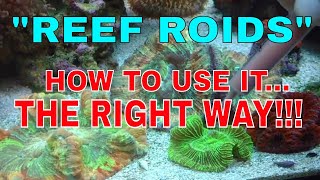 Reef Roids  How To Use It  The Right Way [upl. by Alemat213]