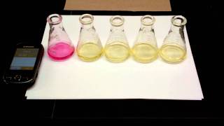 Hydrolysis of tButylChloride Kinetics Experiment 5 SN1 Reaction [upl. by Lardner217]