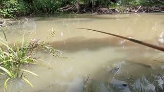 Hari Ini Refreshing Mancing [upl. by Rebeca]