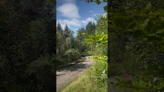 3 right cut 🔥 cymru wales welsh raliceredigion2024 ralio rally puresound fyp skoda [upl. by Trebleht]