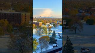 Snowliage❄️🍁 snow fall balconyview skyline sweaterweather [upl. by Zilber]