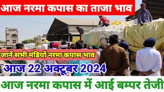 नरमा कपास के भाव 22 अक्टूबर 2024 नरमा कपास में आई बम्पर तेजी Narma kapas ka bhav cotton Prices [upl. by Eimorej]