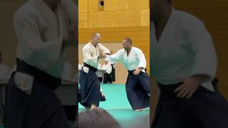 wwwaikikaisk  Slovak Aikido Association  Aikikai Slovakia [upl. by Sheelagh410]