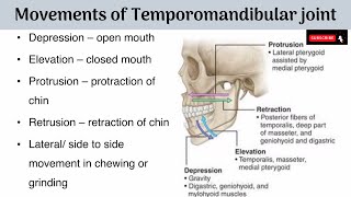 Movements of Temporomandibular Joint  Axes of Movements  Muscles producing the Movements with AA [upl. by Evangelist898]