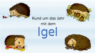 Rund ums Jahr mit dem Igel Lernvideo [upl. by Brennan]