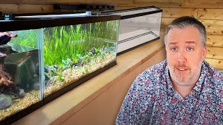 Why Im Downsizing my Aquariums and maybe you should too [upl. by Riti]