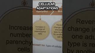 Cellular Adaptations cell injury medical pathology mbbs bds nursing shorts yt [upl. by Ellenad]