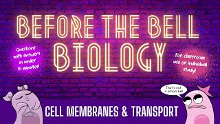 Cell Membranes and Transport Before the Bell Biology [upl. by Charron138]