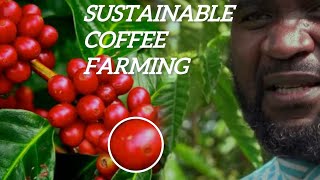 How to Grow Coffee to Fast Harvesting and Most Yield  Easy and Effective Agricultural Methods [upl. by Nina]