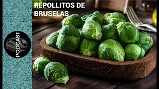 MITOS Y VERDADES SOBRE LOS REPOLLITOS DE BRUSELAS [upl. by Missak]