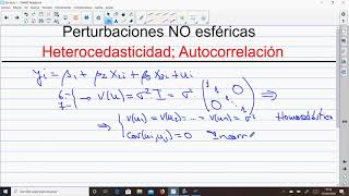 Perturbaciones no esféricas Heterocedasticidad 1 [upl. by Mcgannon]