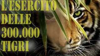 300k LESERCITO DELLE 300000 TIGRI  Official song [upl. by Sankaran]