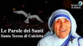 Le Parole dei Santi per oggi 25 Dicembre 2023  Santa Teresa di Calcutta [upl. by Sualakcin]