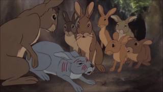 Watership Down 1978  Full Screen Edition [upl. by Melicent]