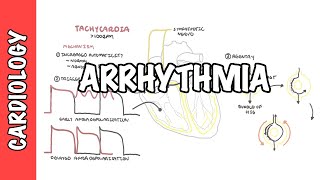 Arrhythmia Overview  Mechanism of bradyarrhythmia and tachyarrhythmia [upl. by Gona]