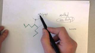 Alkane Nomenclature [upl. by Ruffina315]