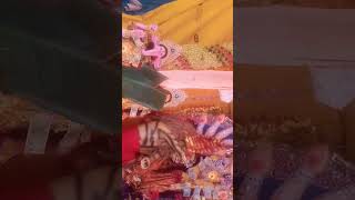 Sonal Gupta Navratri ka chautha din Hamare channel ko subscribe [upl. by Riaj]