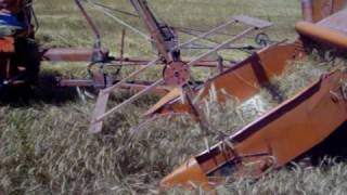 Allis Chalmers 40 combine at Hutchinson [upl. by Ennayllek]