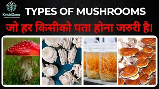 Mushroom के Types जो हर किसीको पता होना जरुरी है। [upl. by Annatsirhc937]