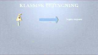 Klassisk betingning Pavlov1mp4 [upl. by Negroj502]