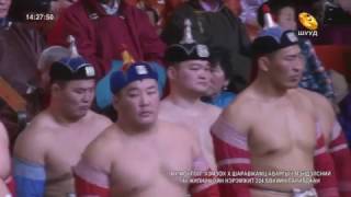 【Mongolian Wrestling】ХШаравжамц аваргын нэрэмжит 224 бөхийн барилдаан шууд [upl. by Nongim196]