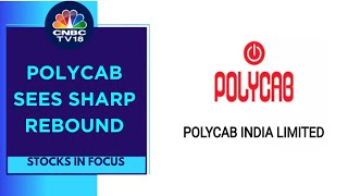 The Polycab Saga A Complete Timeline  CNBC TV18 [upl. by Annaxor]