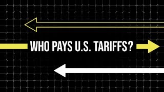 Who Actually Pays Tariffs [upl. by Eilac]