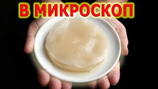 Чайный гриб Jun Джун Kombucha Комбуча [upl. by Yrrum]