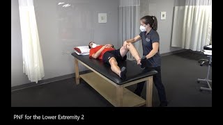 PNF Proprioceptive Neuromuscular Facilitation for the Lower Extremity [upl. by Nylicaj]