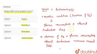 Pasteur effect can be studied in case of [upl. by Katonah77]