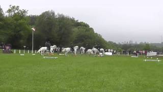 Glaskopfs Connemara Pony Quadrille [upl. by Nesrac]