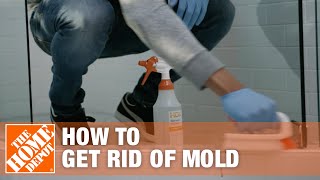 How to Get Rid of Mold  The Home Depot [upl. by Sedinoel]