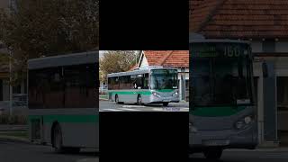 transperth3 [upl. by Glori]