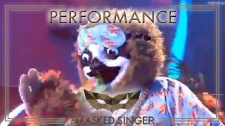 Lemon Tree  Fools Garden  Das Faultier  The Masked Singer  ProSieben [upl. by Lahsiv693]