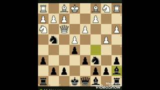 King Pawn opening Leonardis Variation [upl. by Aliuqet244]