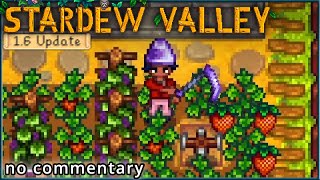 Stardew Valley 555  Large Island Farm Harvest [upl. by Timon]